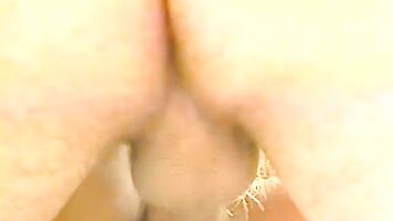 Anal Animals s18.