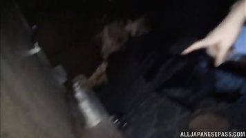 Sexy Asian babe Erika Momotani gets a hot pounding.