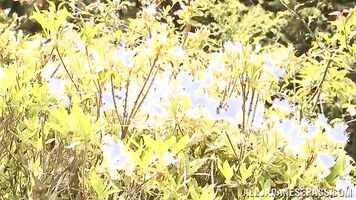 Mature Japanese model Hisae Yabe enjoys every inch of cock.